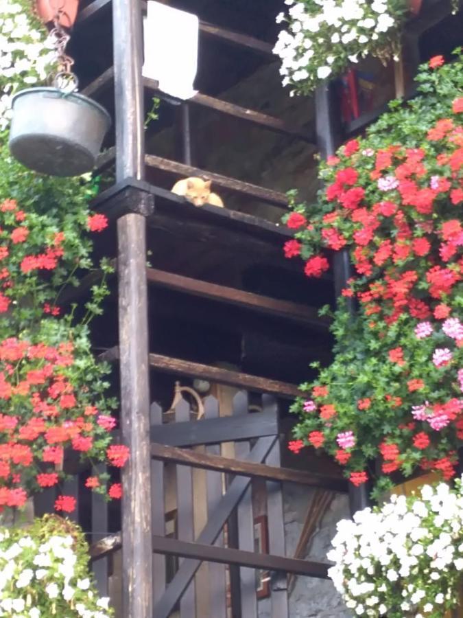 B&B "La Baita Delle Coccinelle" Varallo Eksteriør bilde