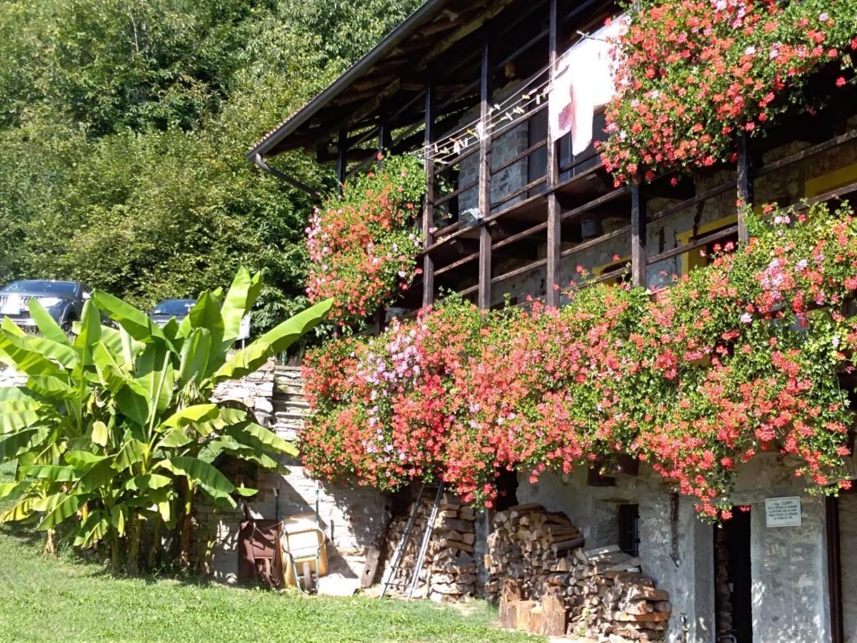 B&B "La Baita Delle Coccinelle" Varallo Eksteriør bilde